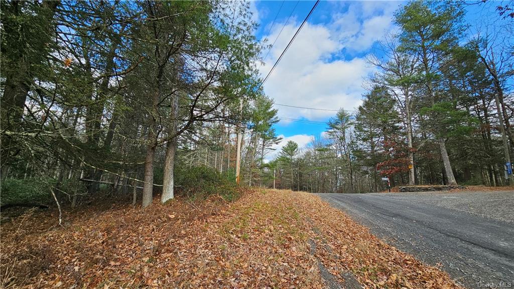 Perry Pond Road, Narrowsburg, New York image 8