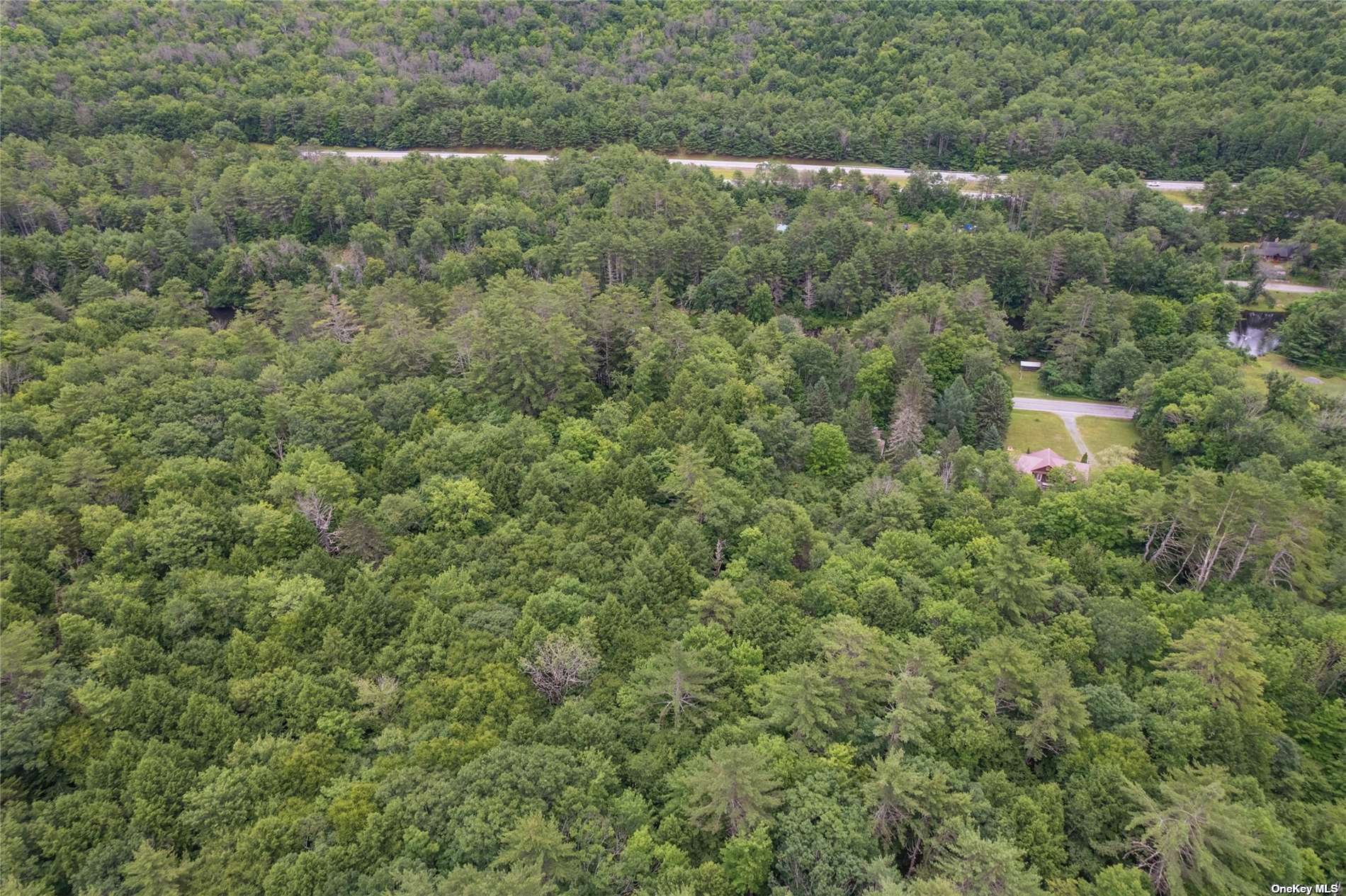 1361 Schroon River Road, Warrensburg, New York image 9