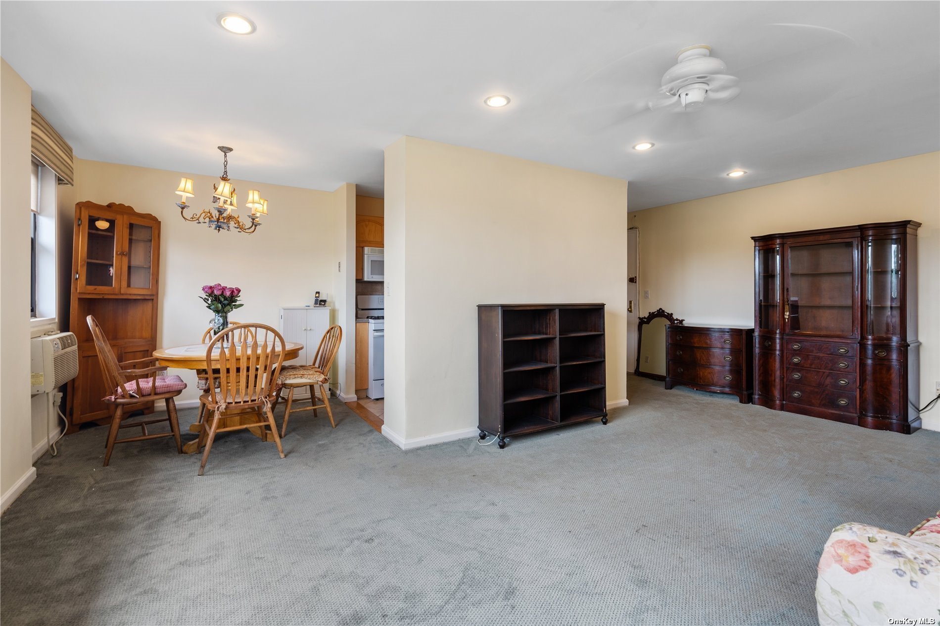 315 Atlantic Avenue #3D, East Rockaway, New York image 10