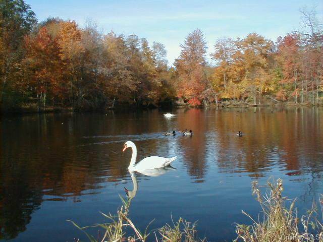 1 Church Lane #L, Valley Cottage, New York image 19