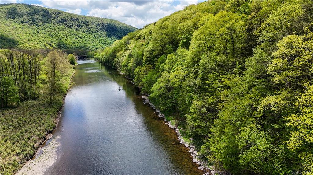 County Road 17, East Branch, New York image 6