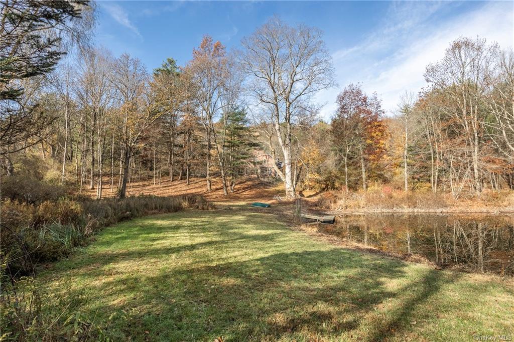 328 Milan Hollow Road, Rhinebeck, New York image 5