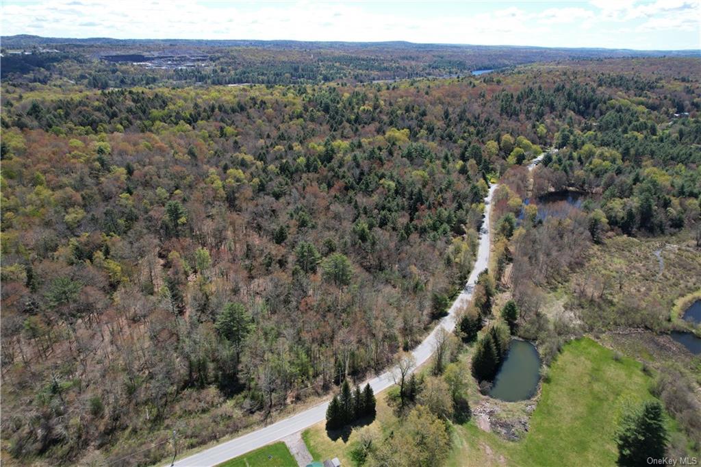 Ballard Road, Mongaup Valley, New York image 9