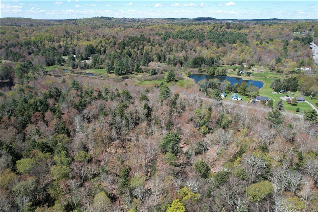 Ballard Road, Mongaup Valley, New York image 5