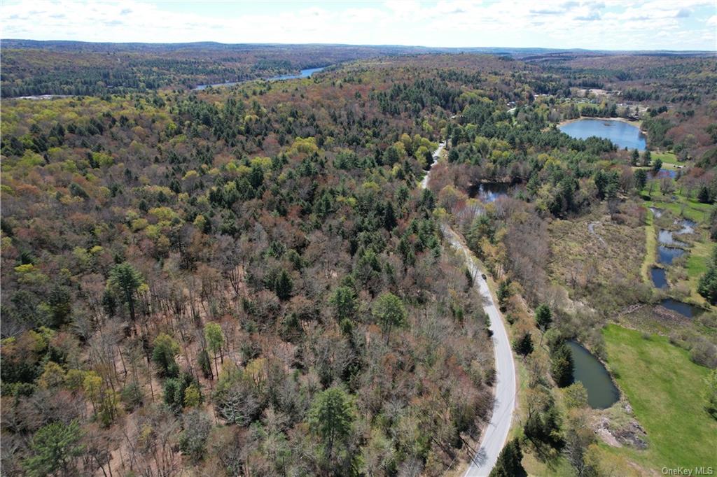 Ballard Road, Mongaup Valley, New York image 8