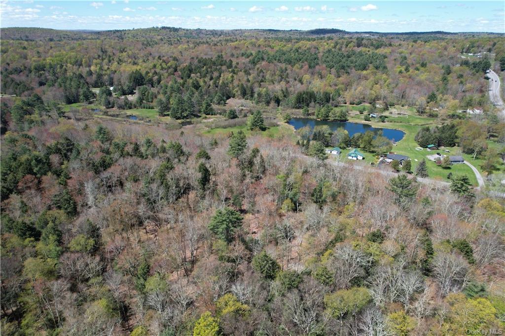 Ballard Road, Mongaup Valley, New York image 6