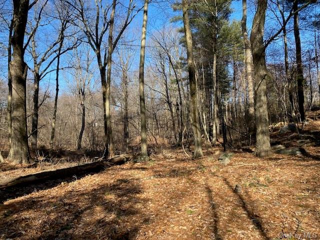 Old Logging Road, Pound Ridge, New York image 1