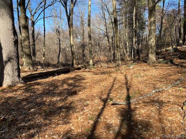 Old Logging Road, Pound Ridge, New York image 2