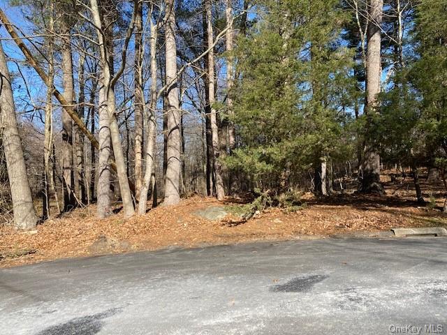 Old Logging Road, Pound Ridge, New York image 4