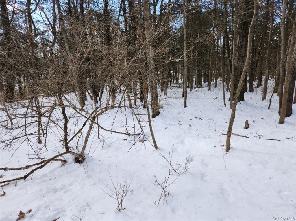 Shaw Rd Off Oxford Road, Blooming Grove, New York image 1