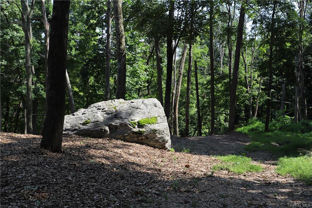 Mountain Farm Road, Tuxedo Park, New York image 3