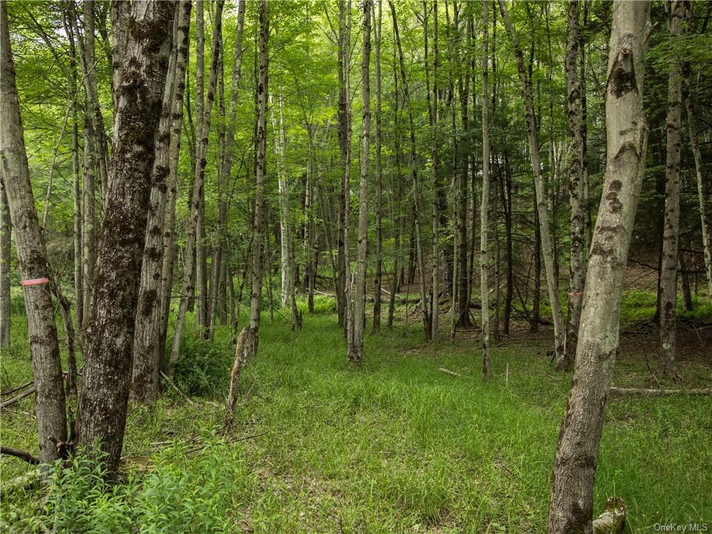 Lot 4 Chapin Trail, Bethel, New York image 6