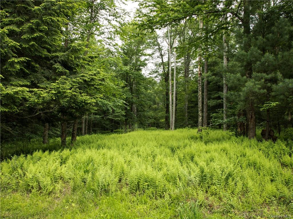 Lot 4 Chapin Trail, Bethel, New York image 2