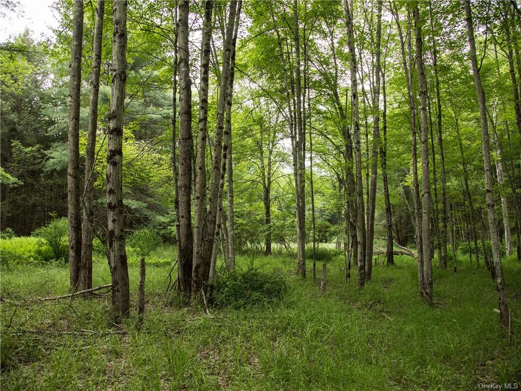 Lot 4 Chapin Trail, Bethel, New York image 8