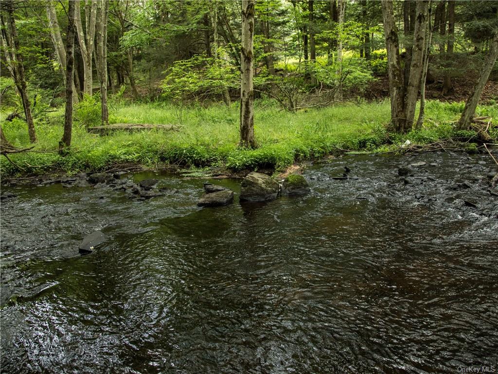 Lot 4 Chapin Trail, Bethel, New York image 4