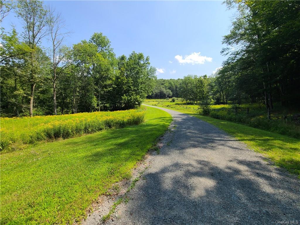 Lot 18 Andie Lane, Bethel, New York image 6