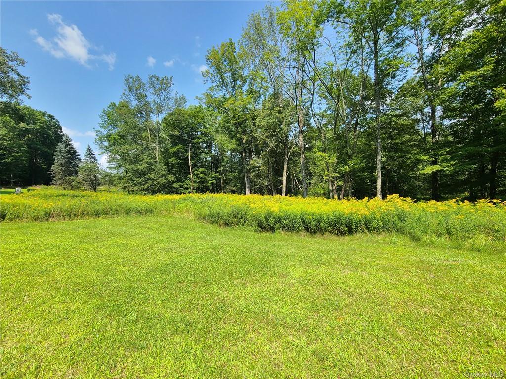 Lot 18 Andie Lane, Bethel, New York image 13