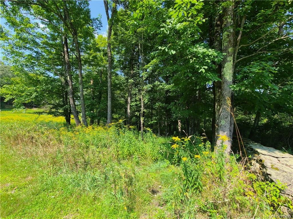 Lot 18 Andie Lane, Bethel, New York image 17