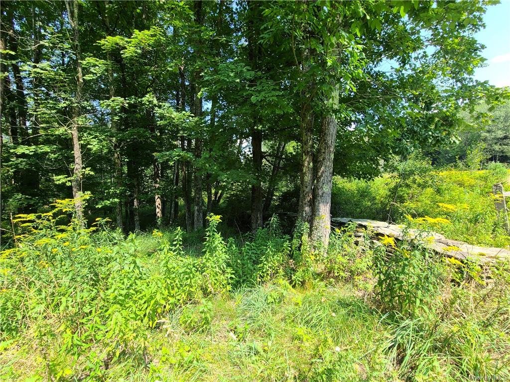 Lot 18 Andie Lane, Bethel, New York image 14