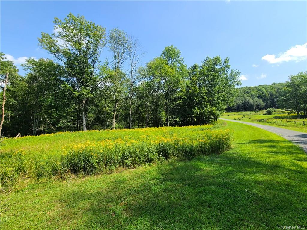 Lot 18 Andie Lane, Bethel, New York image 9