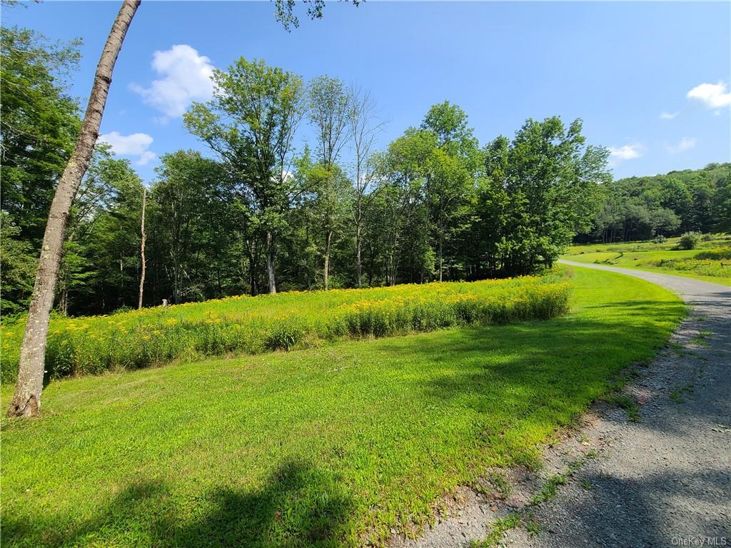 Lot 18 Andie Lane, Bethel, New York image 8