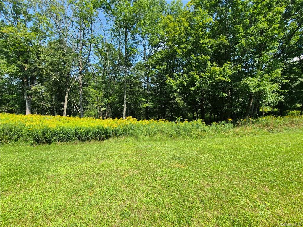 Lot 18 Andie Lane, Bethel, New York image 12