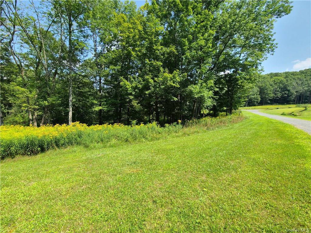 Lot 18 Andie Lane, Bethel, New York image 11