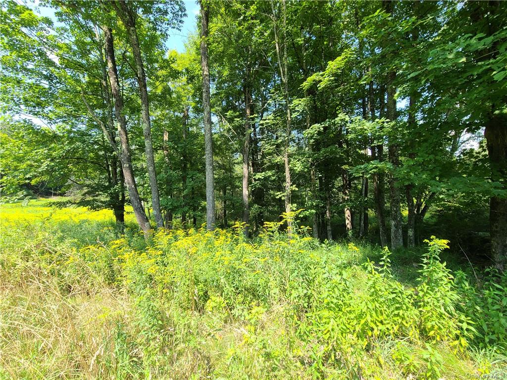 Lot 18 Andie Lane, Bethel, New York image 16