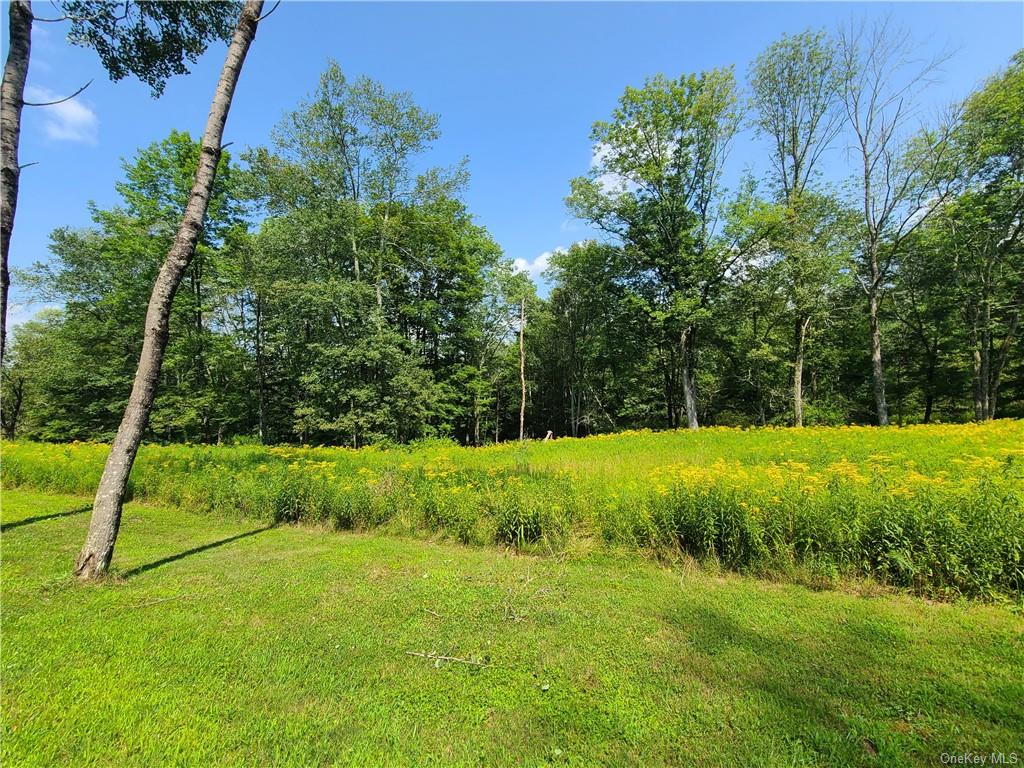 Lot 18 Andie Lane, Bethel, New York image 10