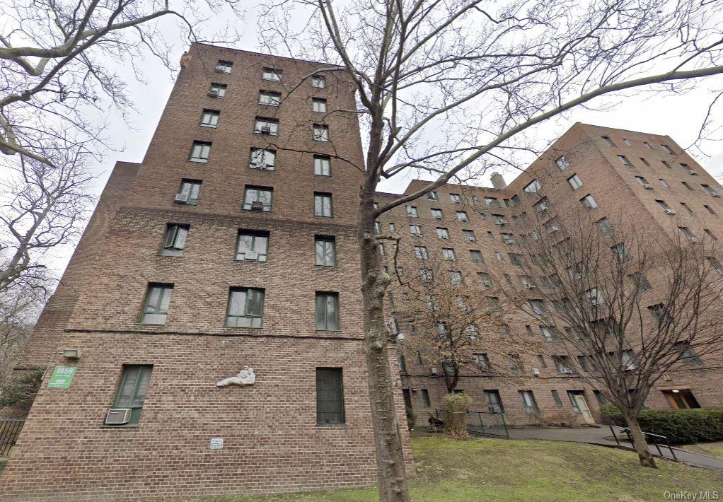 Property for Sale at 1959 Mcgraw Avenue 6D, Bronx, New York - Bedrooms: 1 
Bathrooms: 1 
Rooms: 2  - $210,000