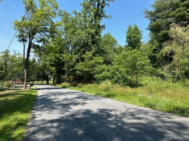 194 Davis Road, Salt Point, New York image 2