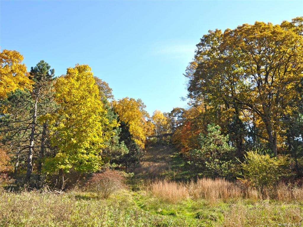 Serpentine Road, Tuxedo Park, New York image 5