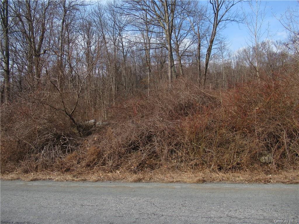 Overlook Drive, Pawling, New York image 9