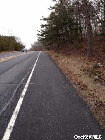 Middle Country Road, Middle Island, New York image 2