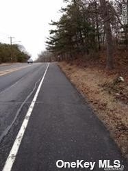 Middle Country Road, Middle Island, New York image 7