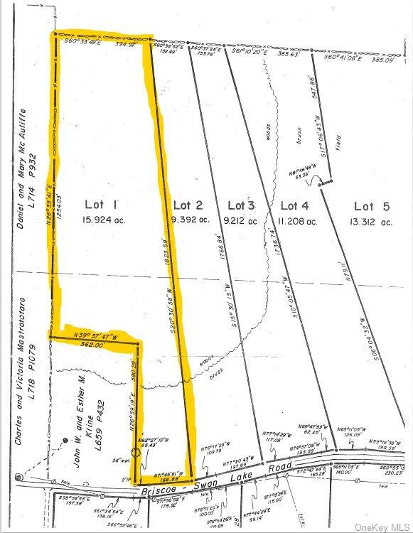 Lot 1 Briscoe Road, Swan Lake, New York image 1