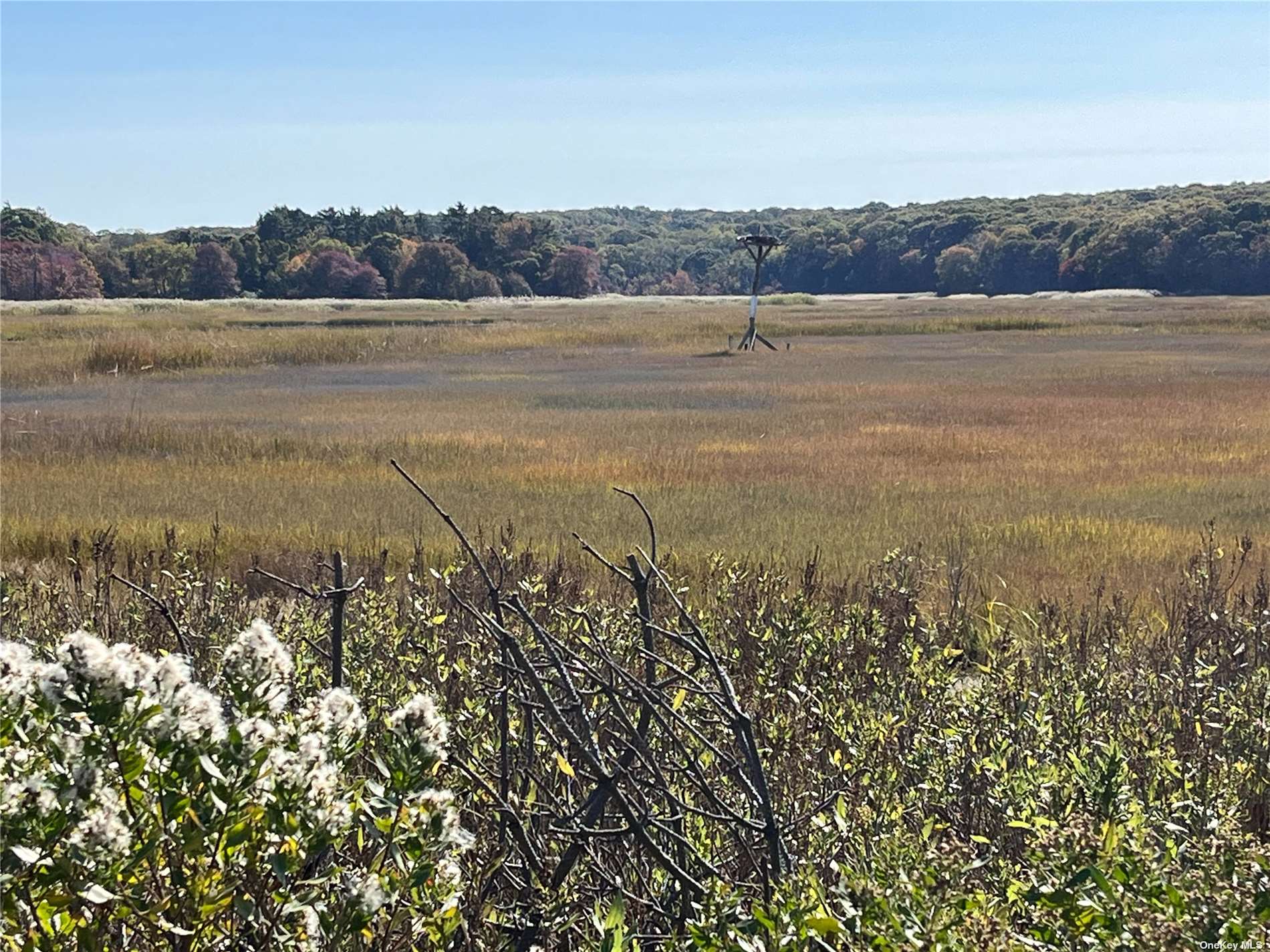 Lot 9 Creek Road, Wading River, New York image 1