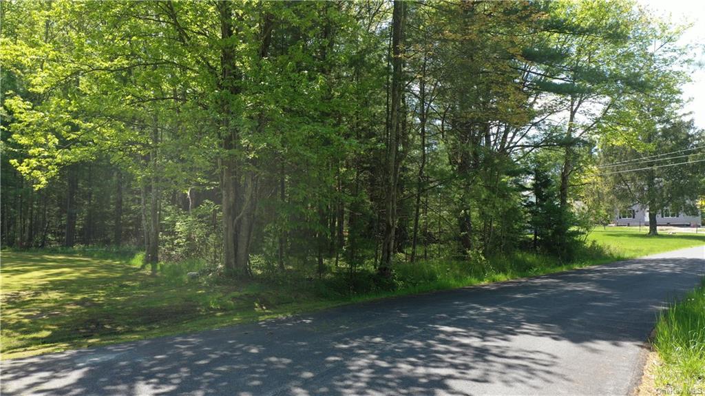 Lot 2 Sycamore Lane, Monticello, New York image 5