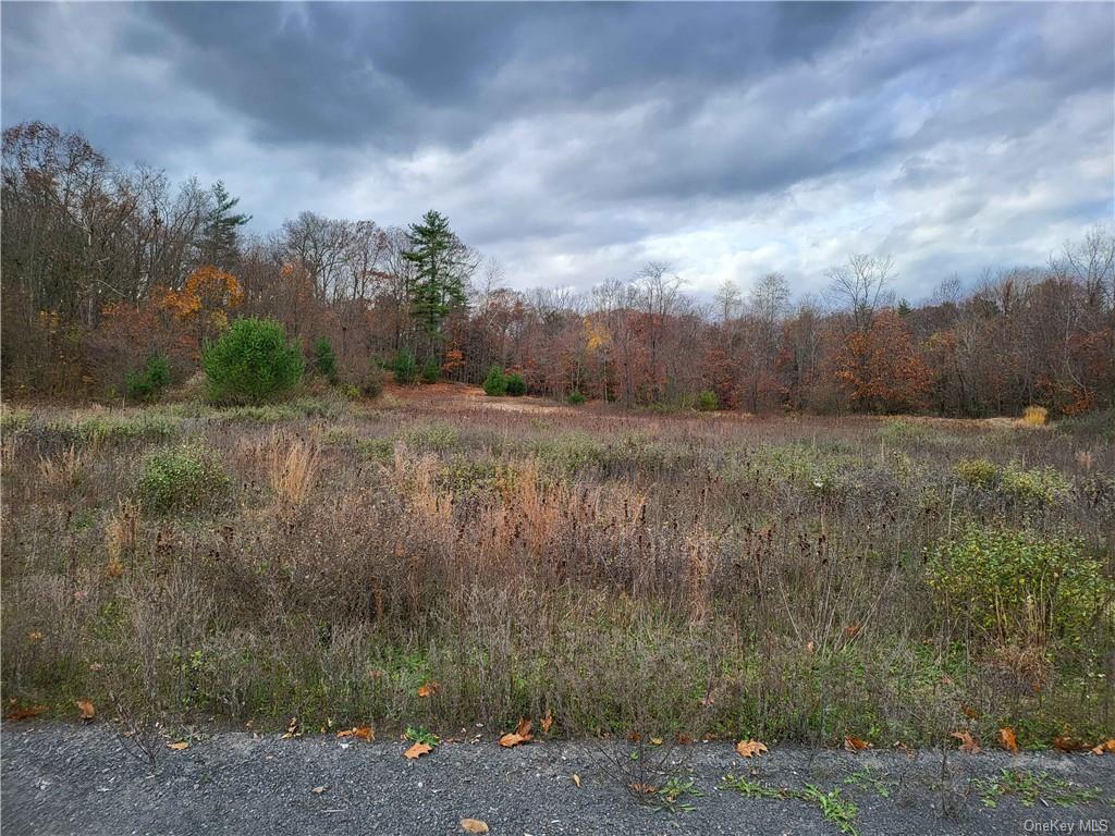 Ashley Drive - Lot 2, Rosendale, New York image 4