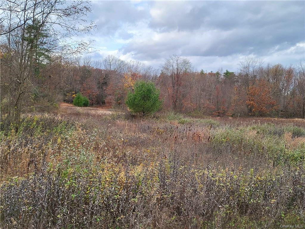 Ashley Drive - Lot 2, Rosendale, New York image 3