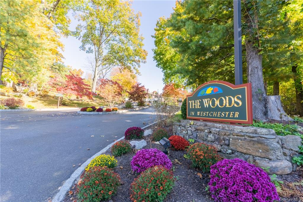 226 Woods Brooke Circle, Ossining, New York image 35