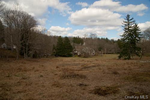 182 Tuxedo Road, Tuxedo Park, New York image 4