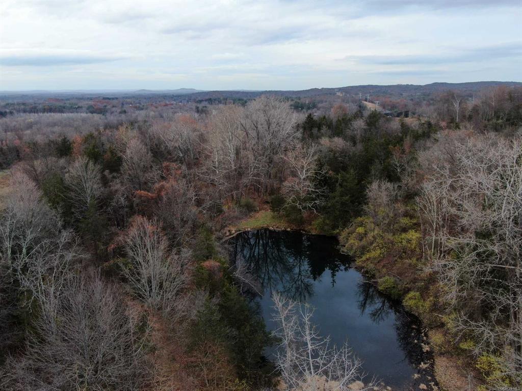 Spring Lake Road, Elizaville, New York image 18