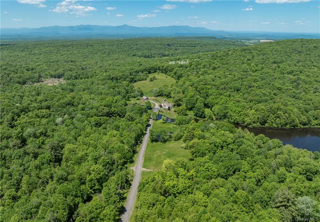 Property for Sale at 368 Skiba Road, Pine Plains, New York -  - $1,780,000