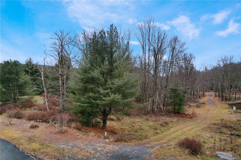 Lot 36.3 Lena Road, Forestburgh, New York image 5