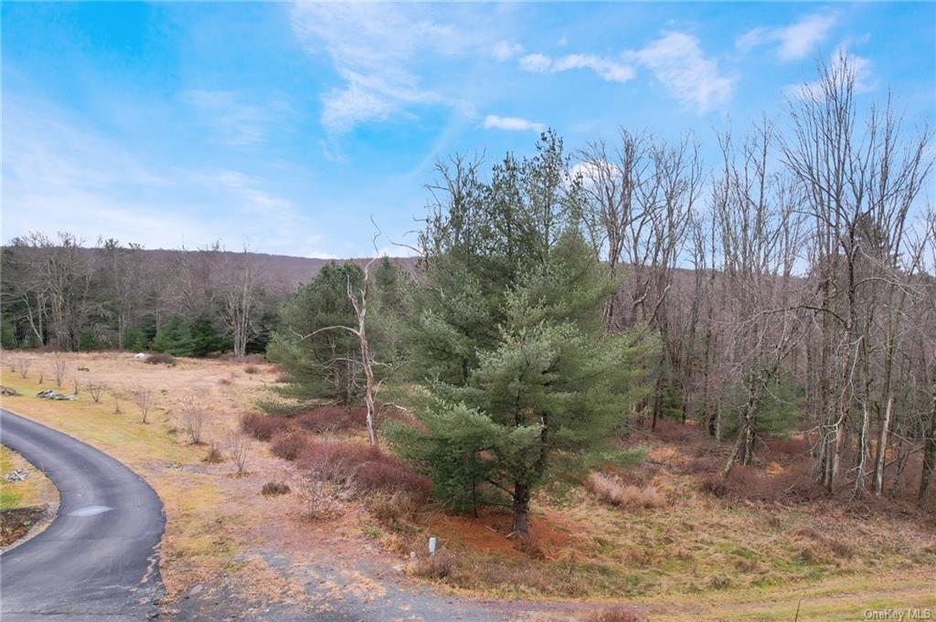 Lot 36.3 Lena Road, Forestburgh, New York image 6