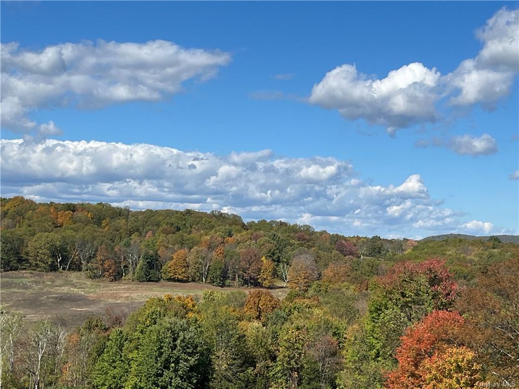 Woodward Hill,stissng Mount, Hicks Hill, Route 199, Pine Plains, New York image 14