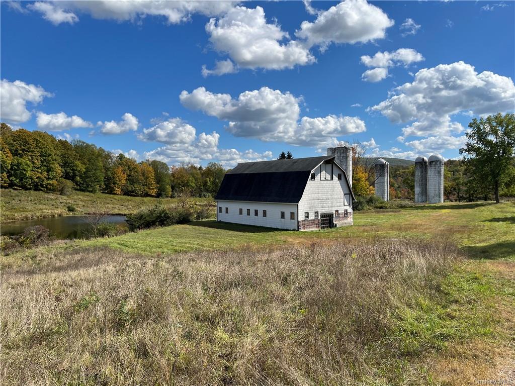 Woodward Hill,stissng Mount, Hicks Hill, Route 199, Pine Plains, New York image 4