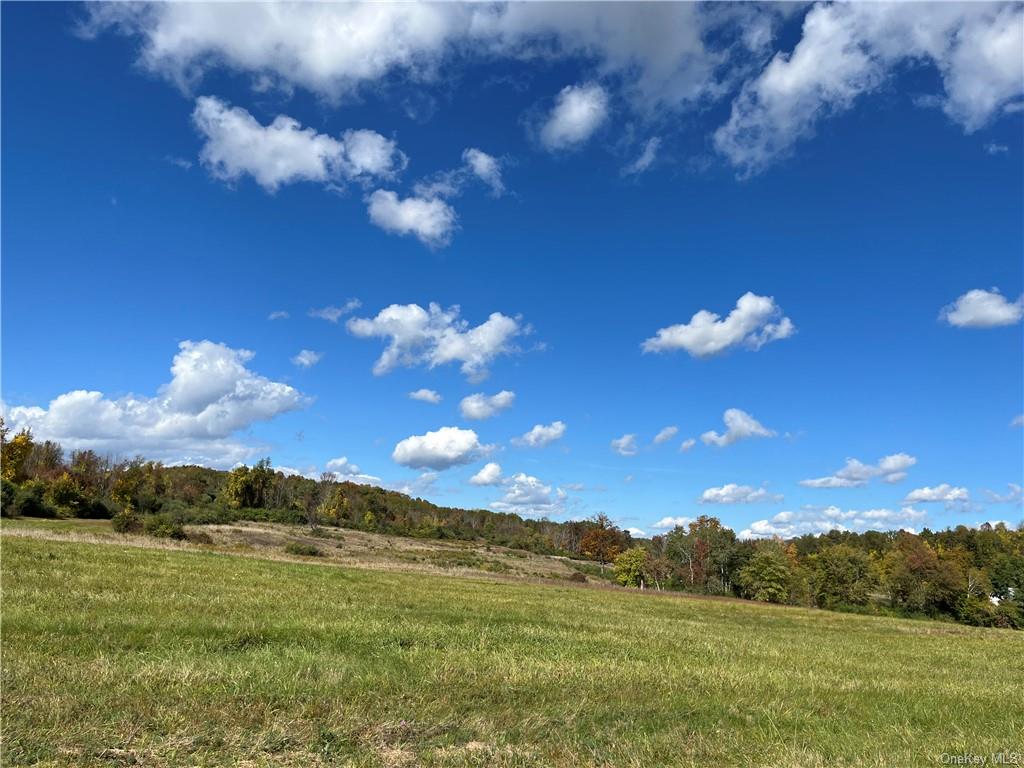 Woodward Hill,stissng Mount, Hicks Hill, Route 199, Pine Plains, New York image 15