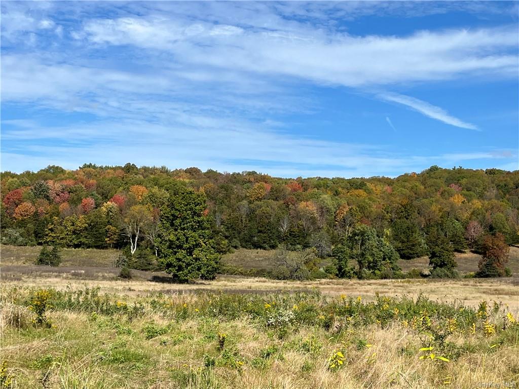 Woodward Hill,stissng Mount, Hicks Hill, Route 199, Pine Plains, New York image 10